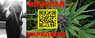 спиды Гагарин