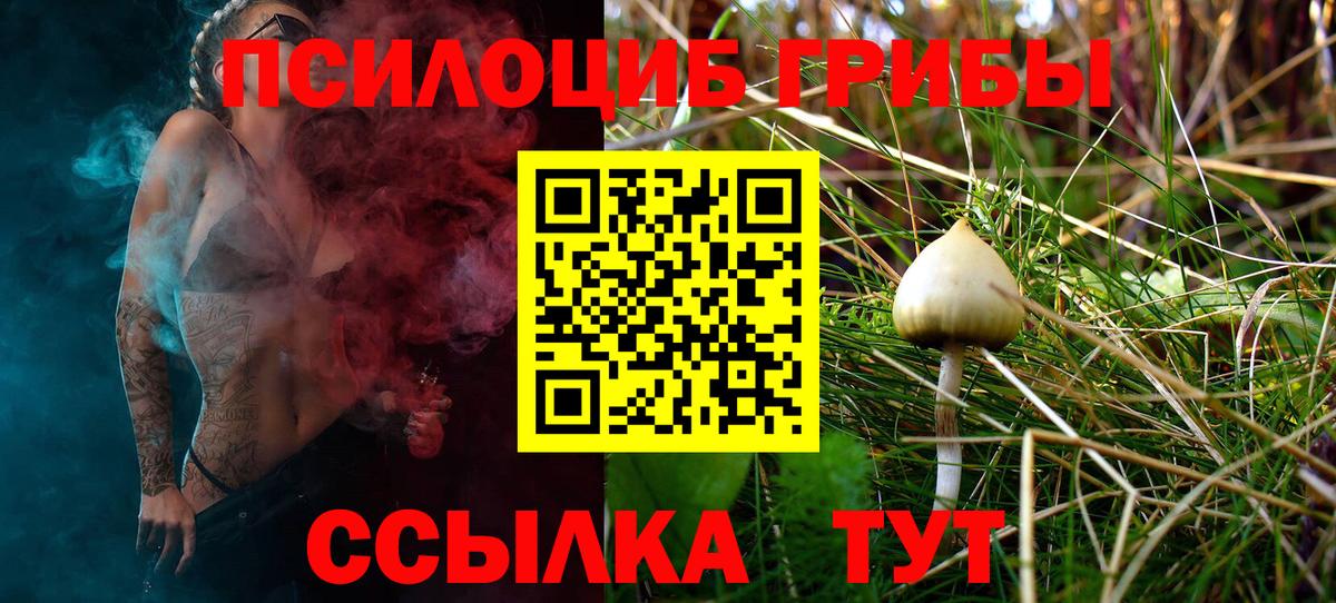 Ликино-Дулёво  Псилоцибиновые грибы Cubensis  Вход с VPN  Галлюциногенные грибы Psilocybe 