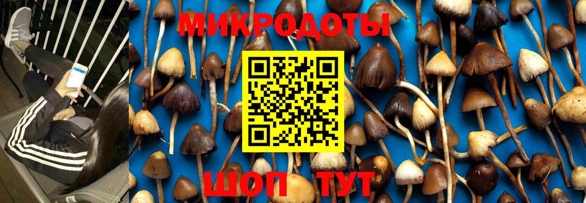 Псилоцибиновые грибы мухоморы Ликино-Дулёво
